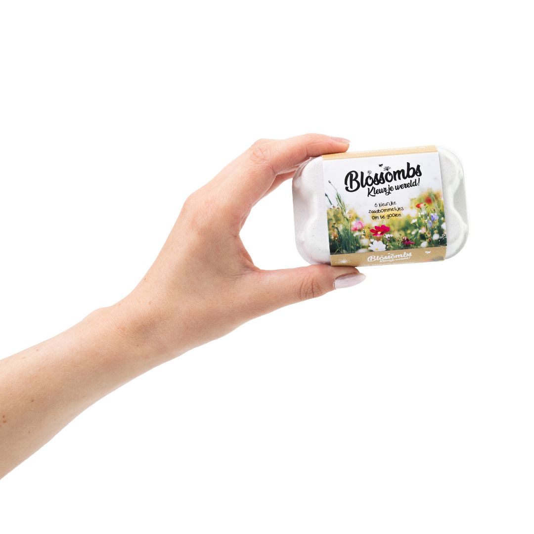 Cadeau eierdoosje 6 zaadbommetjes