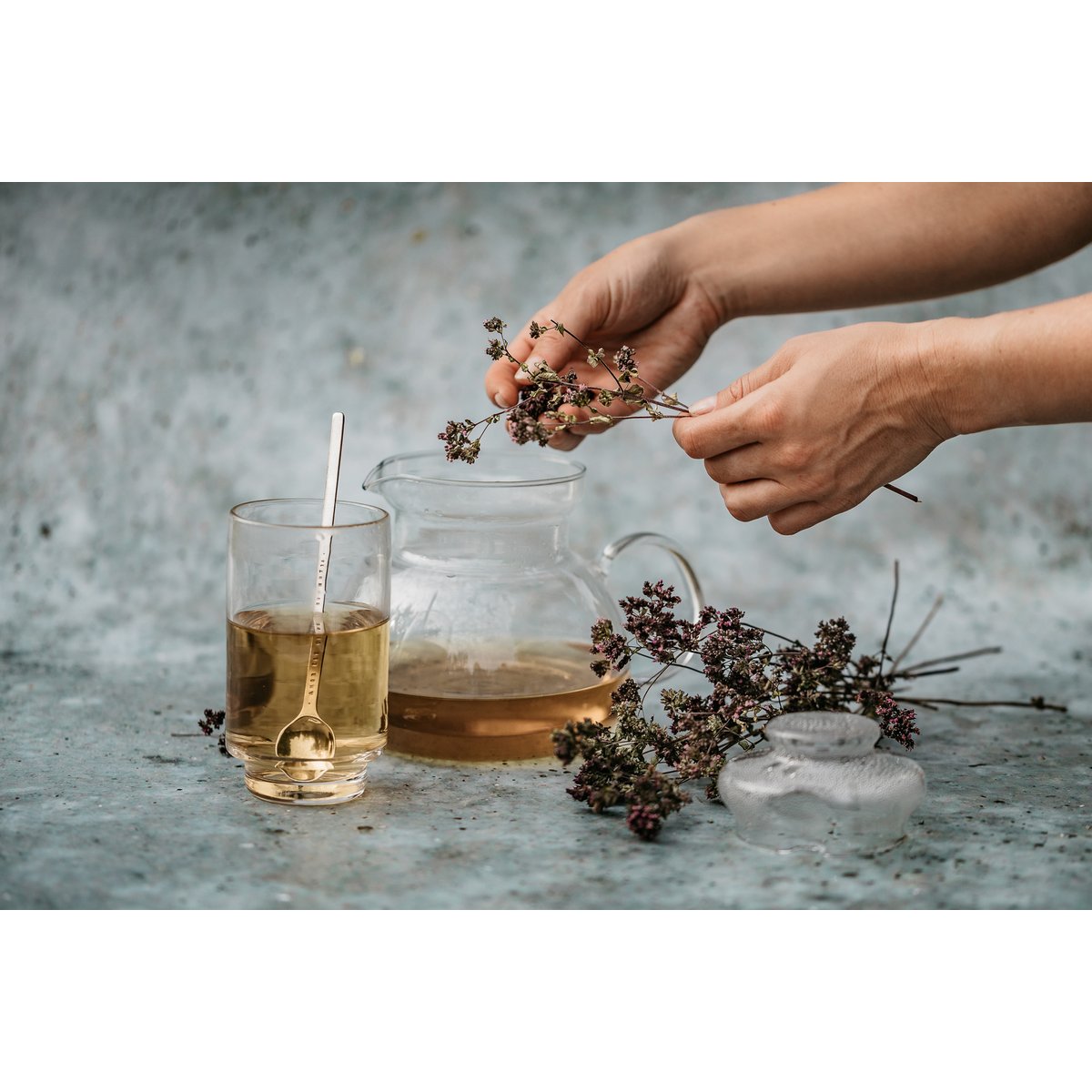 Oregano losse thee