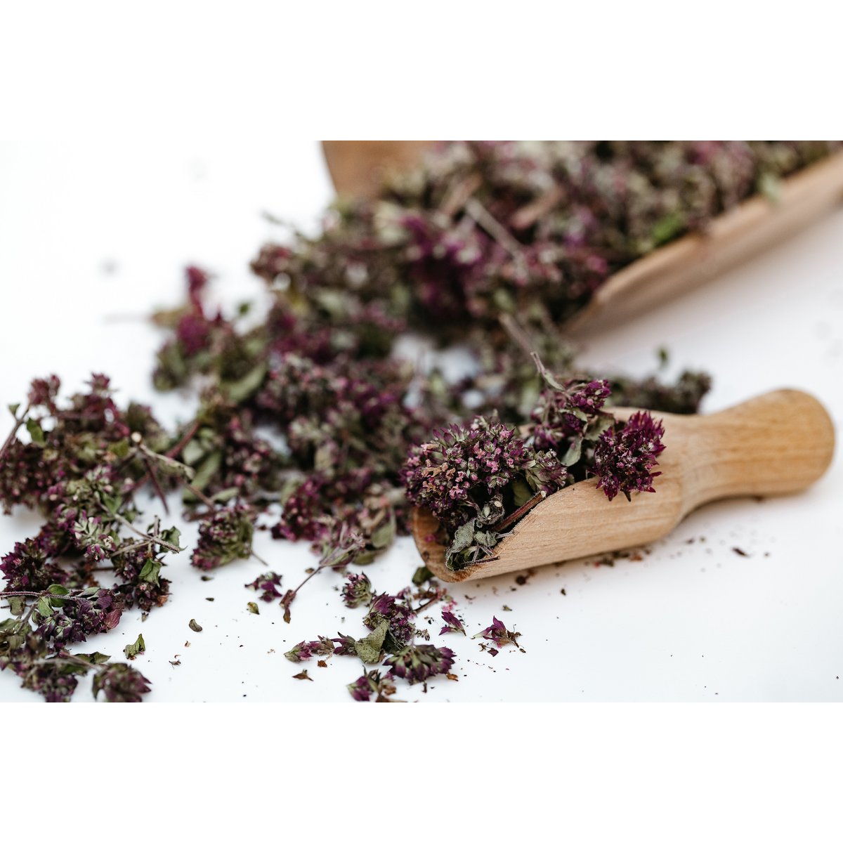 Oregano losse thee