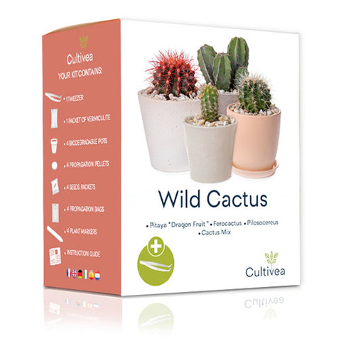 Zaaikit wilde cactus